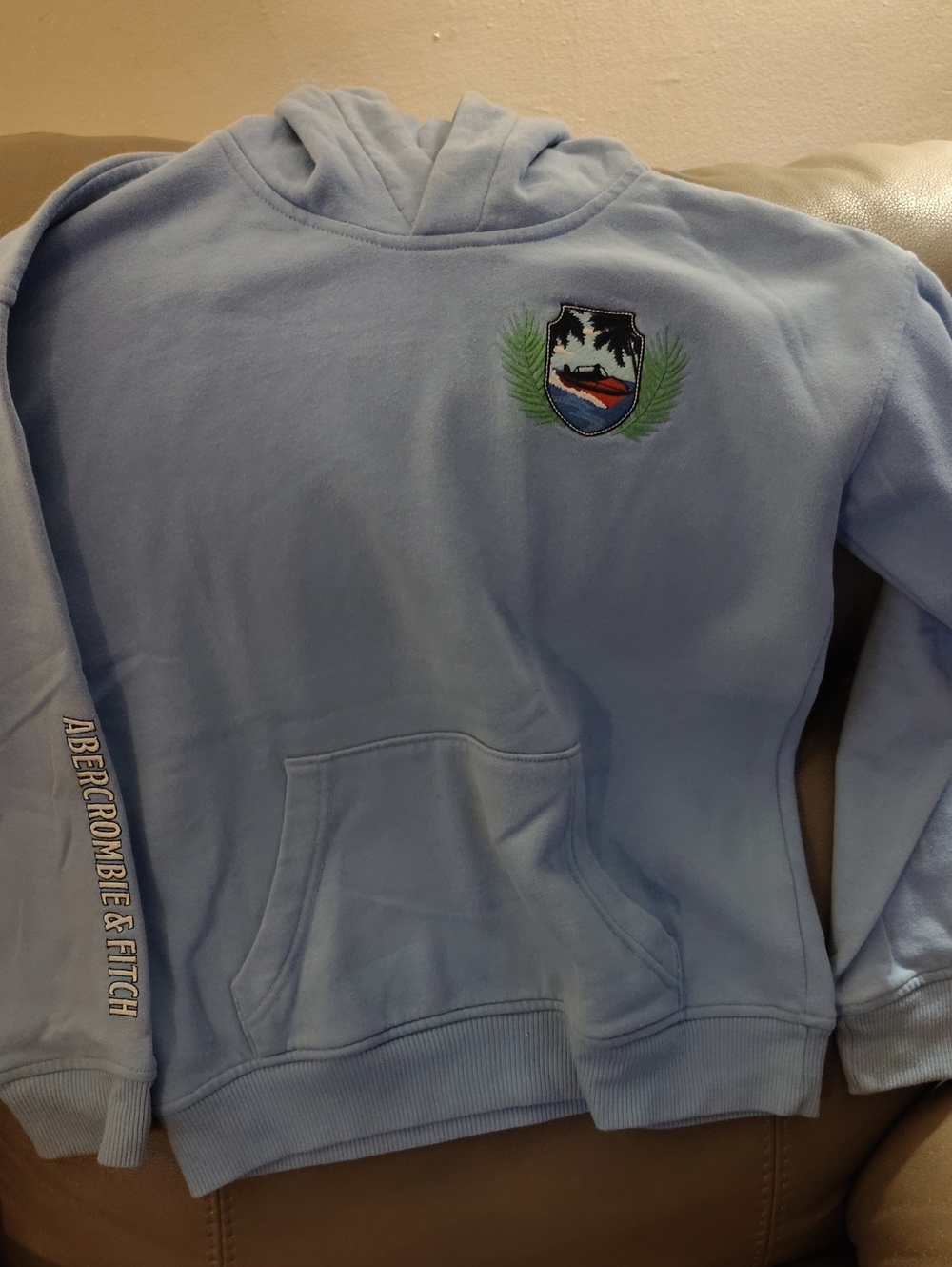 Abercrombie & Fitch Light Blue Crewneck Hoodie with Embroidered Crest